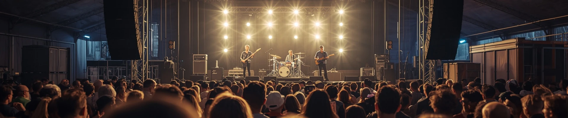 Paradice Festival cover photo
