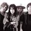 The Struts