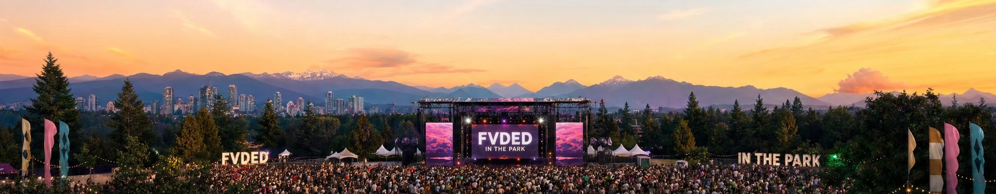FVDED In The Park cover photo